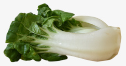 新鲜蔬菜的青菜素材