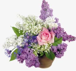 唯美粉色紫色白色花朵素材