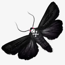黑色蝴蝶摇滚图标图标