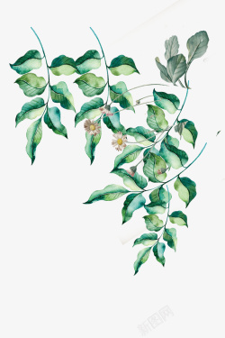 手绘水墨中国风花朵树叶素材
