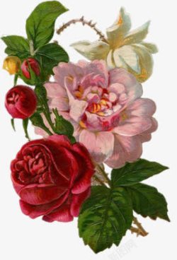 手绘花图案复古欧式花朵素材
