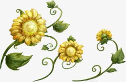 手绘黄色向日葵花朵水彩素材