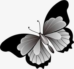 灰色黑色蝴蝶宣传海报素材