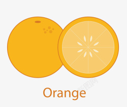 黄色水果橙子矢量图素材