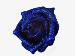 蓝色玫瑰花素材