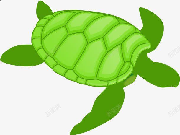 大海龟png免抠素材_88icon https://88icon.com 海龟 游泳健将 绿色