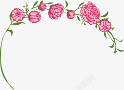 小清新粉色玫瑰花素材