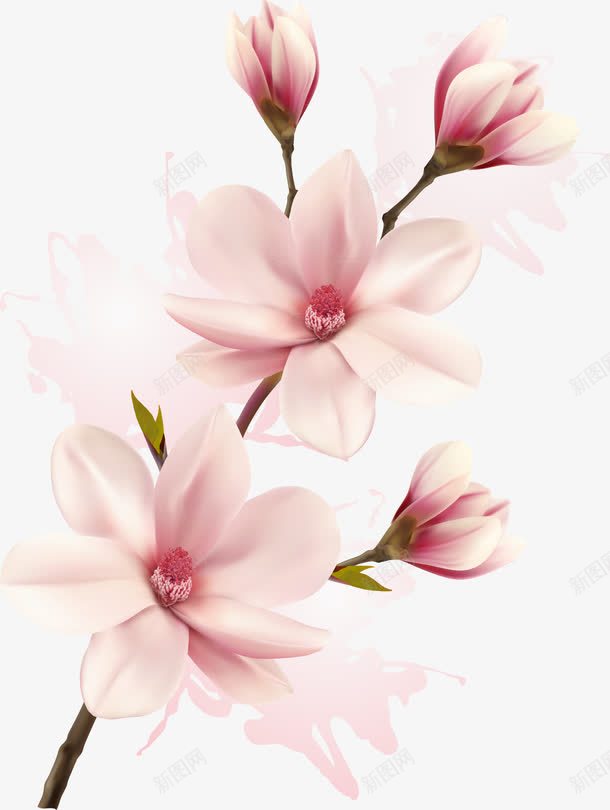 时尚花型png免抠素材_88icon https://88icon.com 时尚花型