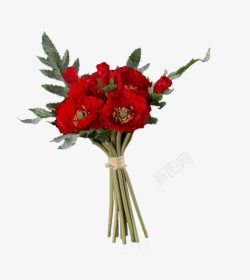 红色花朵花束素材