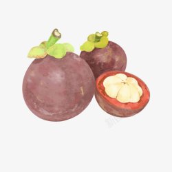 手绘山竹矢量图素材