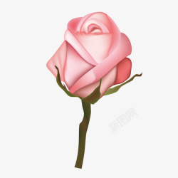 粉色手绘植物玫瑰花矢量图素材