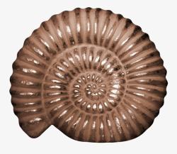 棕色创意海螺素材
