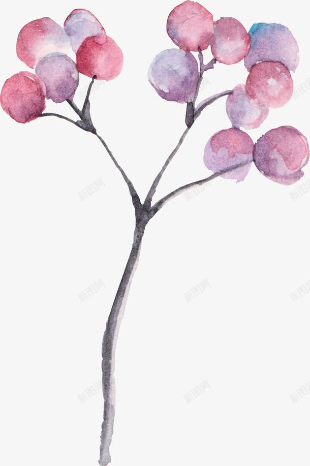 紫红色圆果png免抠素材_88icon https://88icon.com 一株 卡通 手绘 果子 桔梗 植物 简图 紫红色
