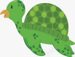 绿色的小乌龟素材