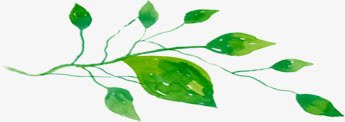 绿色夏日海报植物树叶png免抠素材_88icon https://88icon.com 夏日 树叶 植物 海报 绿色