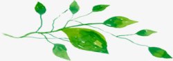 绿色夏日海报植物树叶素材