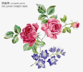 红与蓝png免抠素材_88icon https://88icon.com 简约 绿叶 花朵