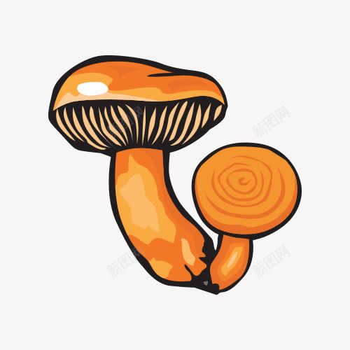 菇类手绘png免抠素材_88icon https://88icon.com 卡通 手绘 矢量素材 菇类 蘑菇 香菇