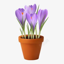 紫色兰花花瓶矢量图素材