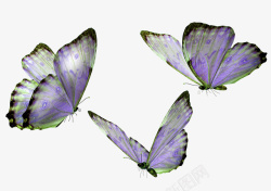 紫色清新蝴蝶装饰图案素材