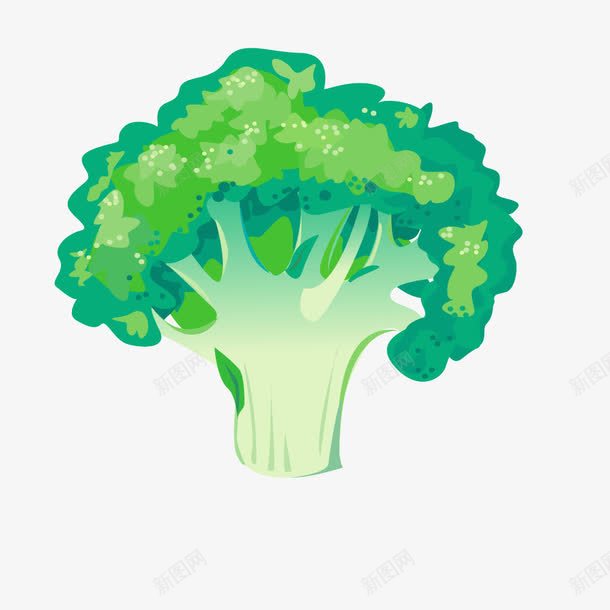 绿色蔬菜西兰花png免抠素材_88icon https://88icon.com 绿色 绿色蔬菜 蔬菜 西兰花