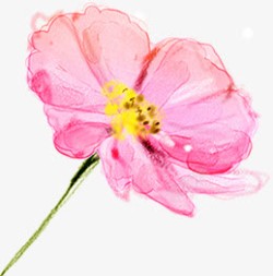 粉色甜美花朵植物手绘素材