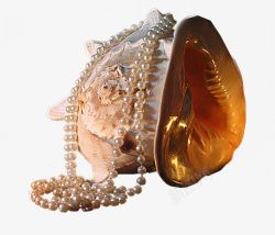 海螺珍珠项链素材