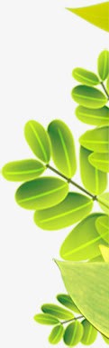 手绘质感创意绿色植物树叶素材