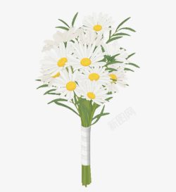 白色小雏菊素材