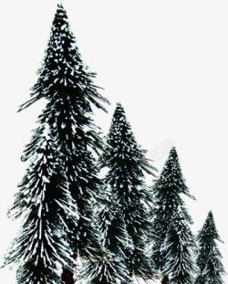 冬日美景树木白雪素材