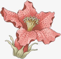 绘画创意花卉海报素材