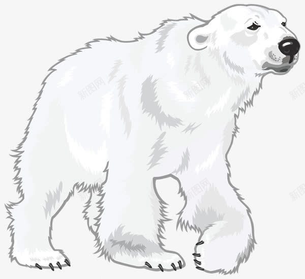 手绘可爱的北极熊png免抠素材_88icon https://88icon.com 动物 北极熊 卡通 手绘