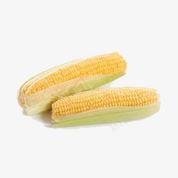 粮食玉米素材