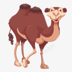 卡通动物红色骆驼素材