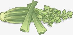 健康蔬菜卡通绿色芹菜素材