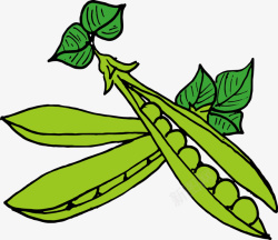 绿色豌豆矢量图素材