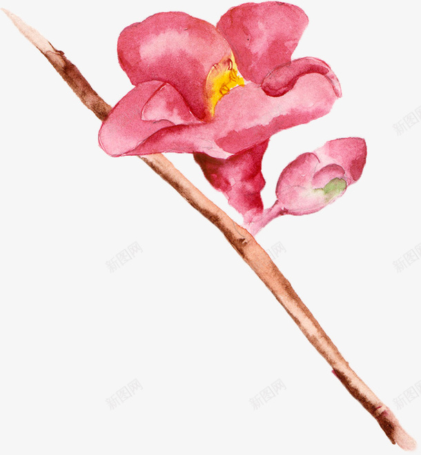 枝干上的花png免抠素材_88icon https://88icon.com 卡通 手绘 枝干 棕色 简图 红色 花朵 花瓣