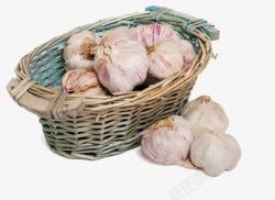 蓝子里蒜头素材