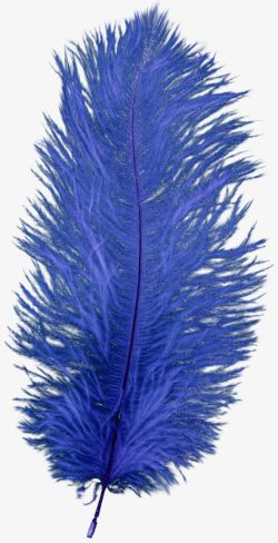 蓝紫色羽毛装饰素材