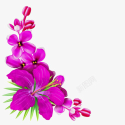 卡通手绘紫色的鲜花素材