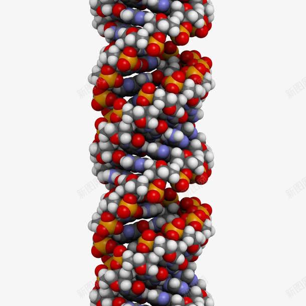 基因png免抠素材_88icon https://88icon.com 健康 医疗 基因 基因链 治疗 药品