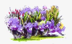 绘画紫色花卉插画素材