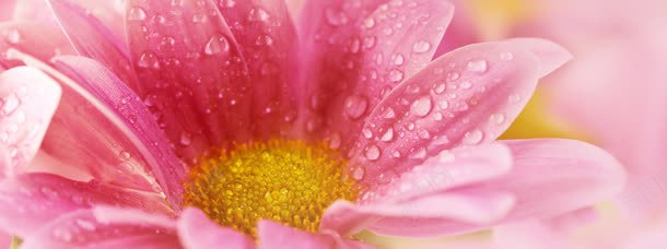 促销海报淘宝广告banner轮播png免抠素材_88icon https://88icon.com PNG促销海报淘宝广告banner轮播 促销海报 天猫广告 淘宝广告 淘宝广告banner