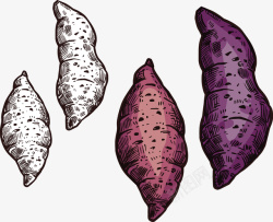 手绘紫薯矢量图素材