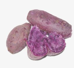 地瓜紫薯矢量图素材