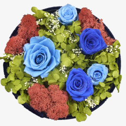 漂亮的蓝色鲜花礼盒素材