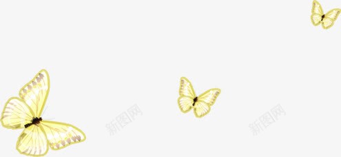 黄色精美手绘蝴蝶飞舞png免抠素材_88icon https://88icon.com 精美 蝴蝶 飞舞 黄色