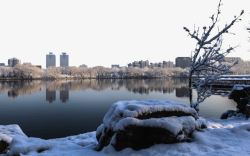 北京玉渊潭雪景四素材