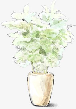 手绘唯美白色花朵植物素材