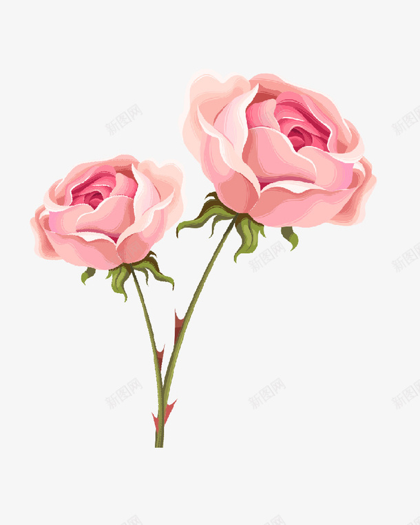 粉色玫瑰花情人节png免抠素材_88icon https://88icon.com 图案 情人节 爱情 玫瑰花 粉色 粉色玫瑰 装饰图案
